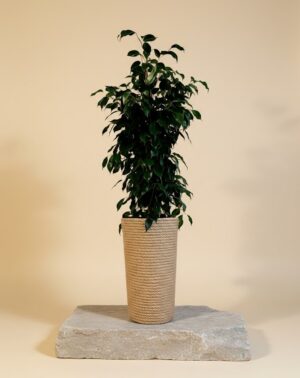 Doniczka boho jutowa z wkładem śr. 28cm wys. 47cm (adoni47)