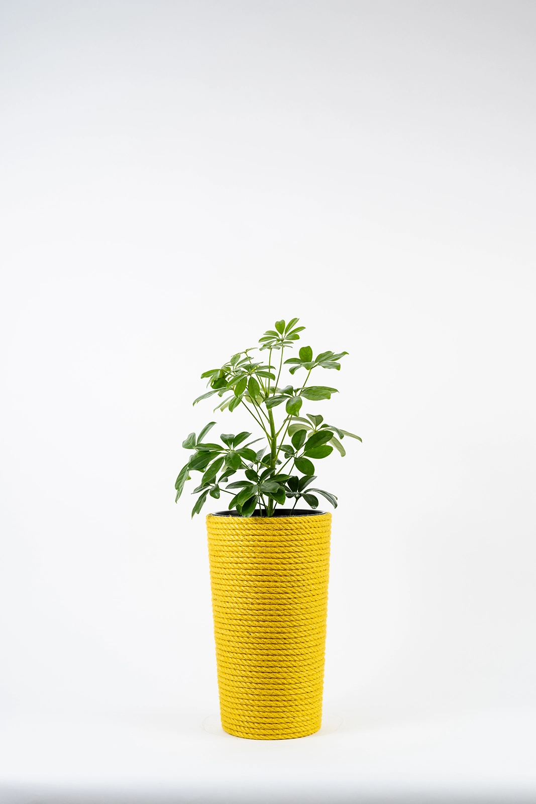 Doniczka ze sznurka w kolorze żółtym 36 cm