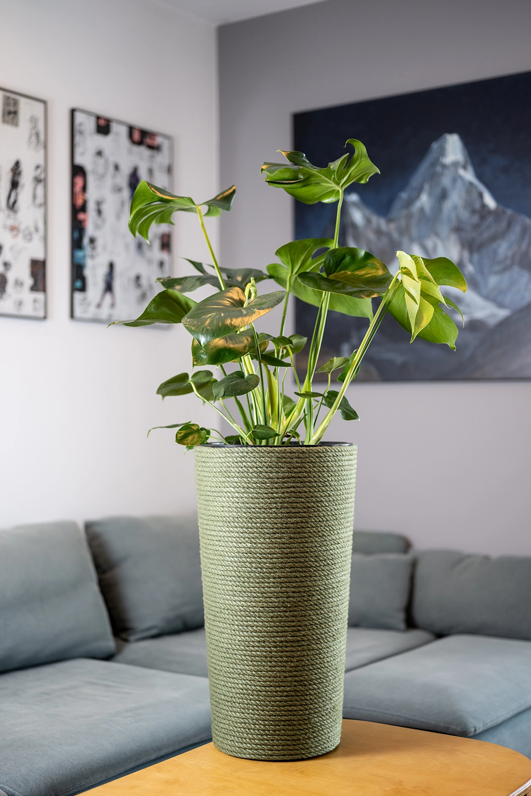 Doniczka jutowa zielona z wkładem 57 cm w salonie