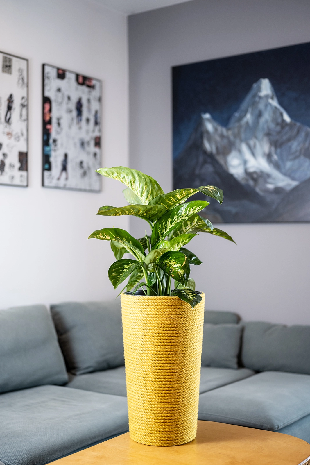 Doniczka jutowa żółta z wkładem 47 cm w salonie na tle sofy
