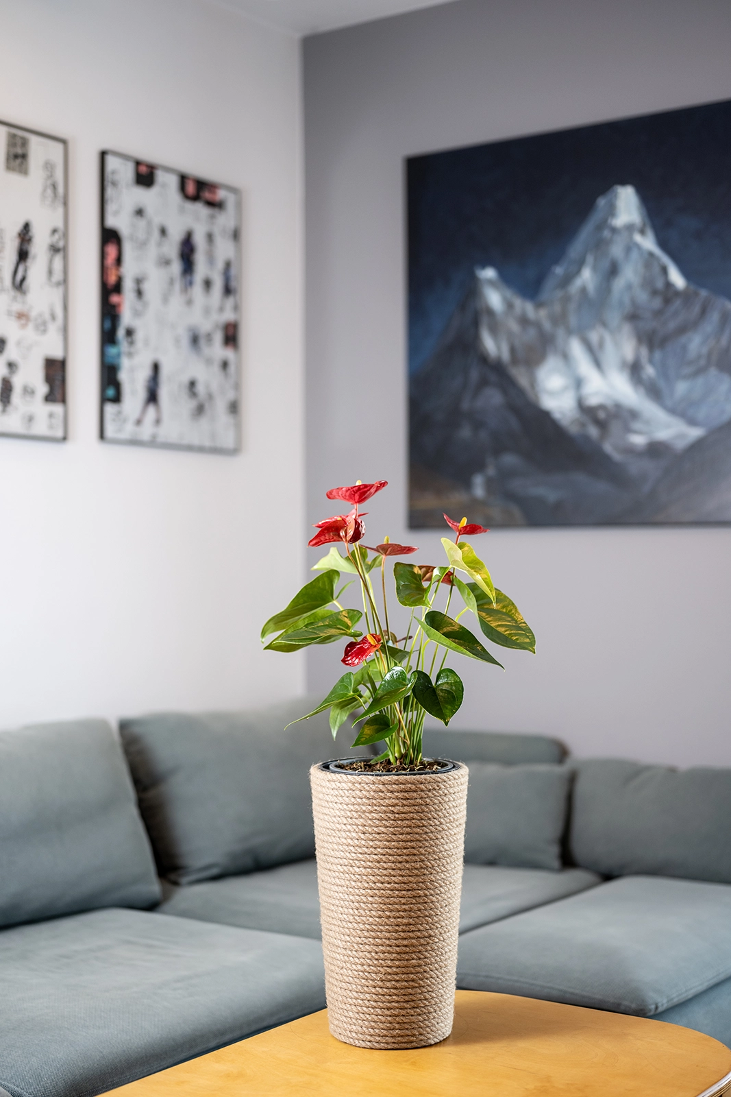 Doniczka jutowa boho z wkładem 36 cm w salonie